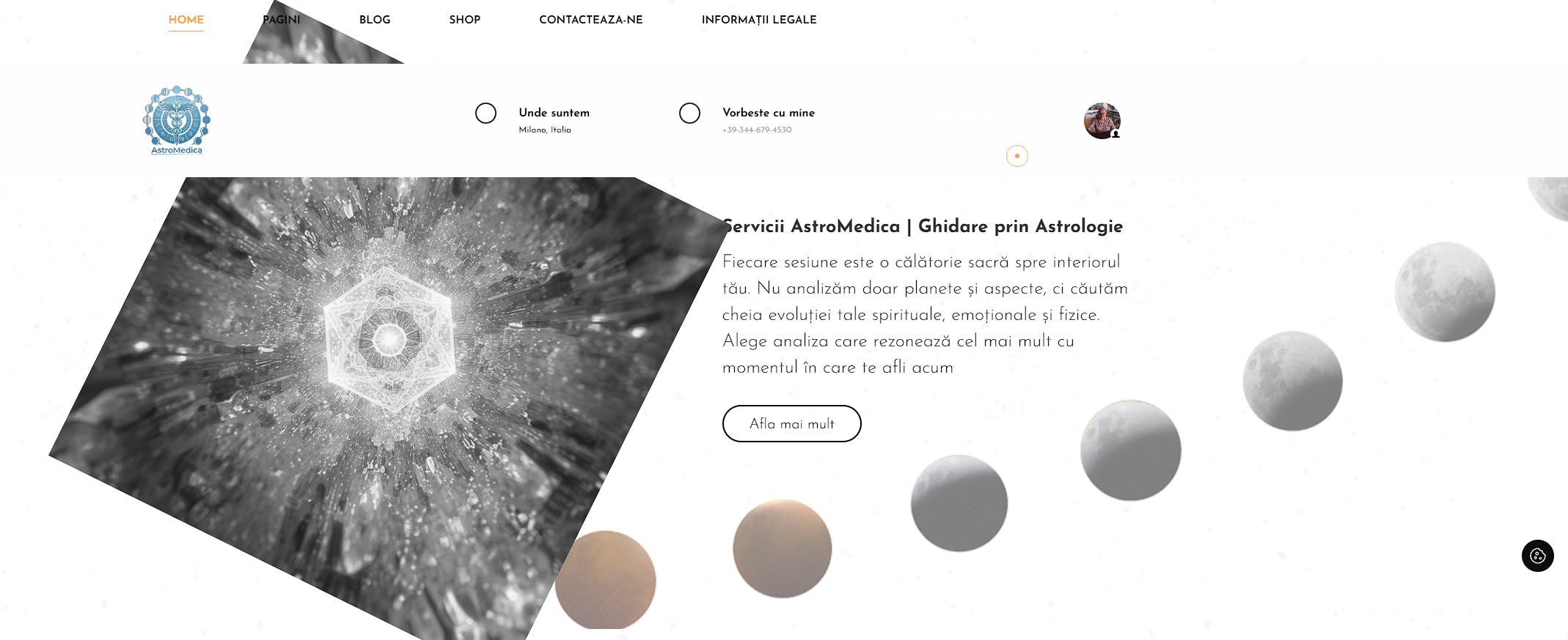 Diseño web — Shameless Agency